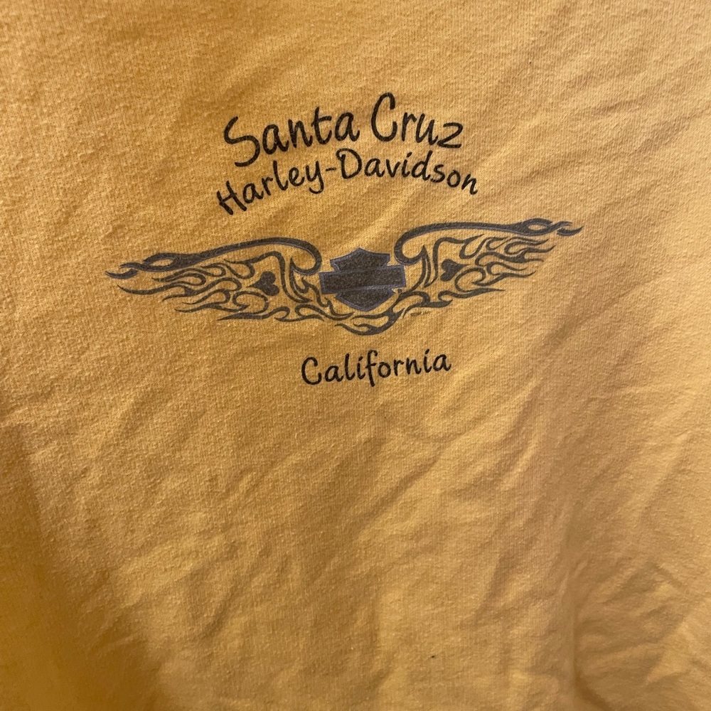 Vintage Harley Davidson Zip up hoodie. From Santa Cruz  It is missing string